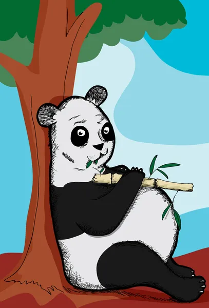 Panda barriga panela —  Vetores de Stock