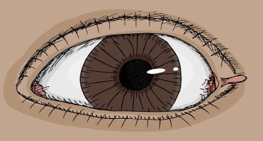 Eye With Tag clipart