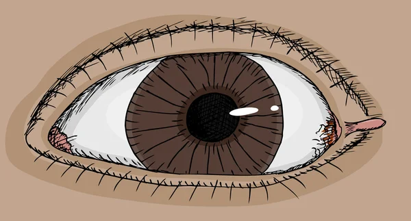 Auge mit Anhänger — Stockvektor