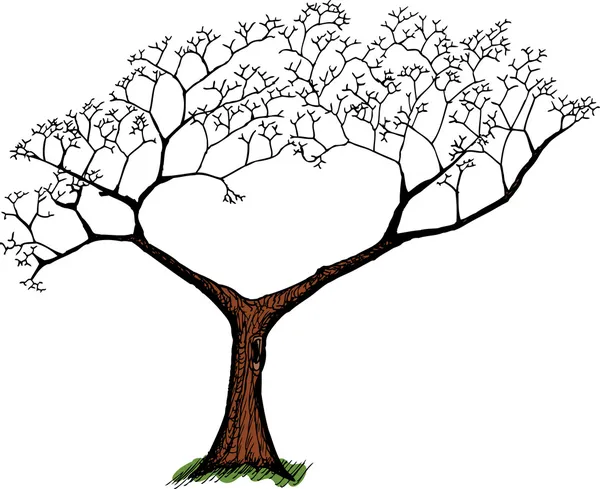 Starý strom nad bílá — Stockový vektor