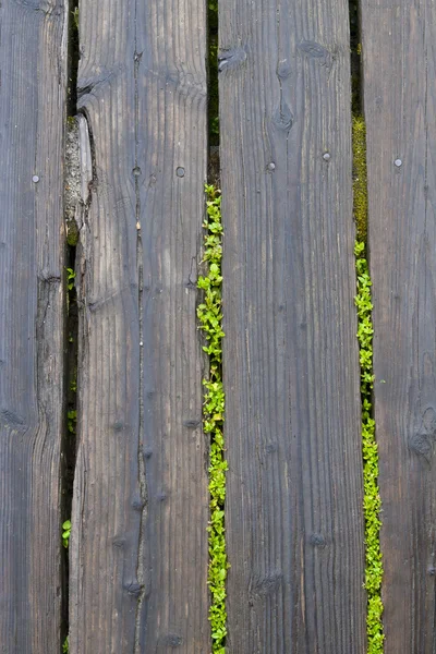 Stare drewniane ogrodzenie — Zdjęcie stockowe