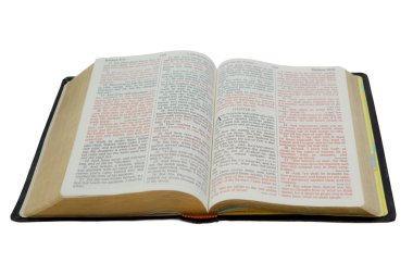 Bible Isolated on White clipart