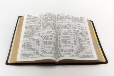 Open Bible clipart
