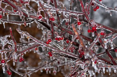 Winter Ice Storm clipart