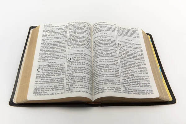 Відкриті Біблії — стокове фото