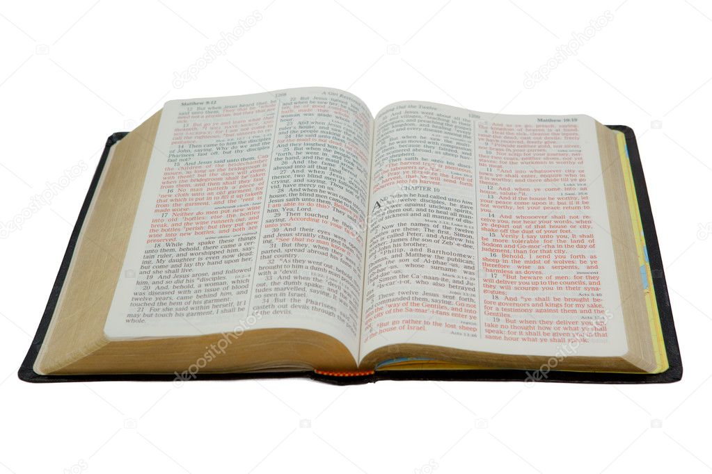 Bible Isolated on White