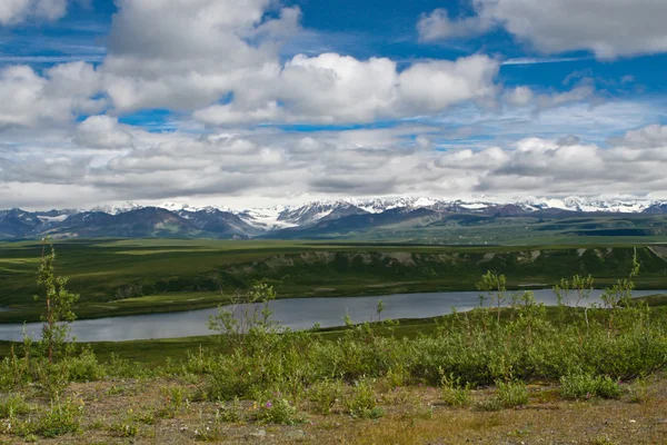 Аляскинский пейзаж — стоковое фото