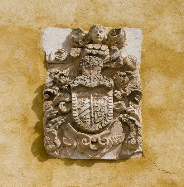 Escudo de pedra heráldica — Fotografia de Stock