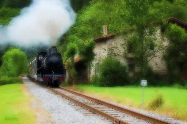 stock image Antique train crossing a forest