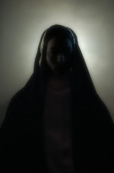 Силуэт Virgin на подсветке — стоковое фото