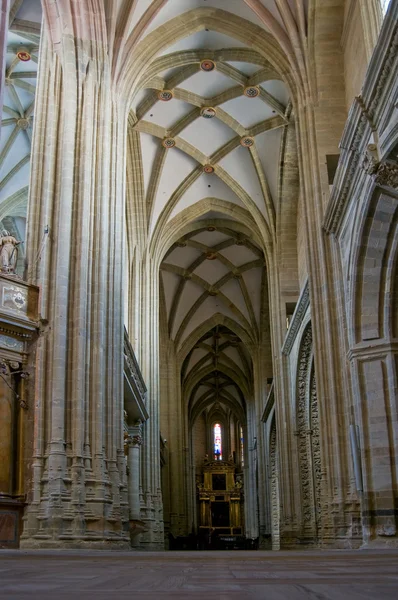 Nave δυτικά της Σάντα Μαρία cathedal του astorga. Ισπανία — Φωτογραφία Αρχείου