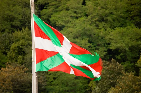 stock image Ikurrina, Basque Country flag waving.