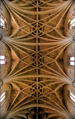 Ceiling Cathedral of Leon in Spain clipart
