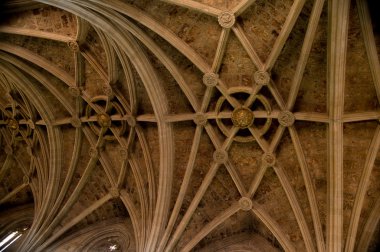 Ceiling Cathedral of Leon in Spain clipart