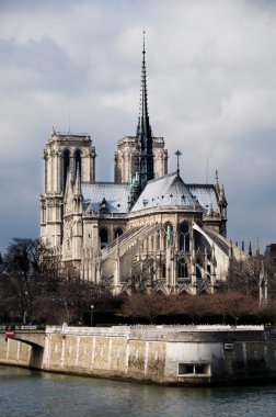 Notre-dame Katedrali ve seine Nehri. Paris, Fransa