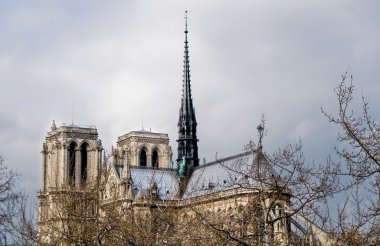 Notre-dame Katedrali. Paris, Fransa