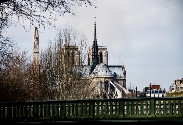 Katedrála Notre-dame. Paříž, Francie — Stock fotografie