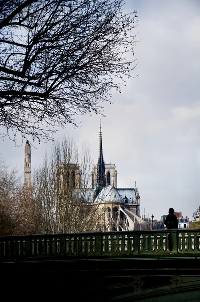 Catedral de Notre-Dame. París, Francia — Foto de Stock