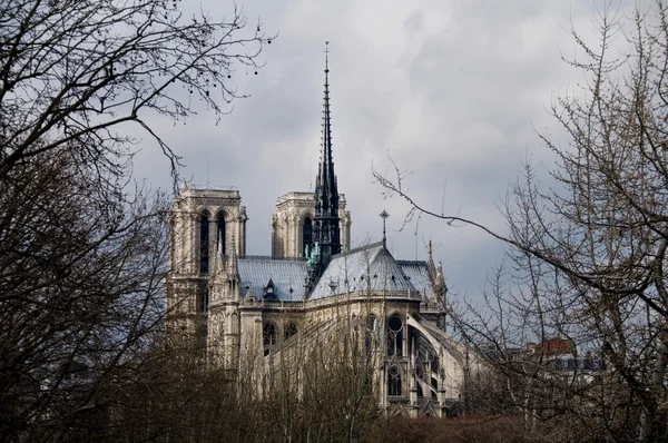 Notre-dame kathedraal. Paris, Frankrijk — Stockfoto