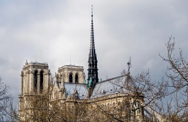 Katedra Notre-dame. Paris, Francja — Zdjęcie stockowe