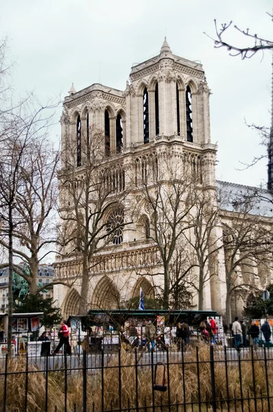 Cattedrale di Notre-Dame. Parigi, Francia — Foto Stock
