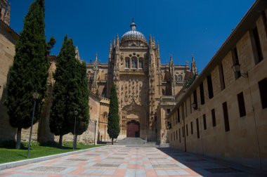 plateresque cephe yeni bir katedral. Salamanca, İspanya