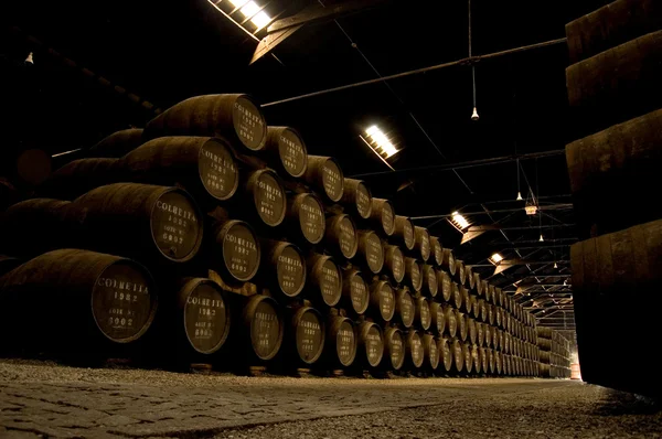 Porto wine Barrels in a warehouse — Stock Photo, Image