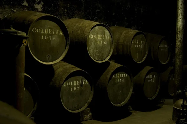 Wine Barrels in a dark warehouse — Stock Photo, Image