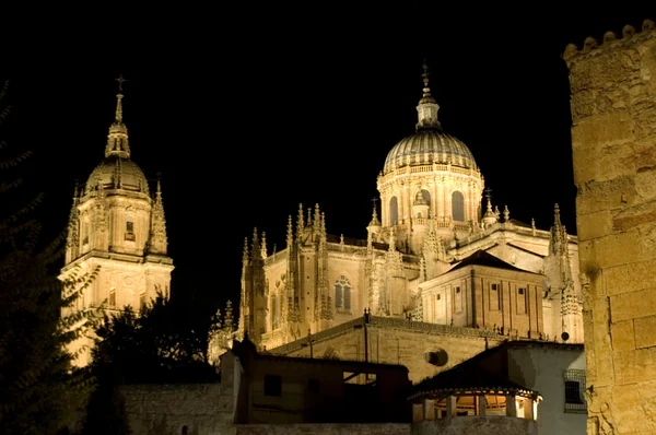 Salamanca cathedral éjszakai látképe — Stock Fotó