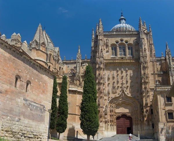 Platereskní fasádou nové katedrály. Salamanca, Španělsko — Stock fotografie