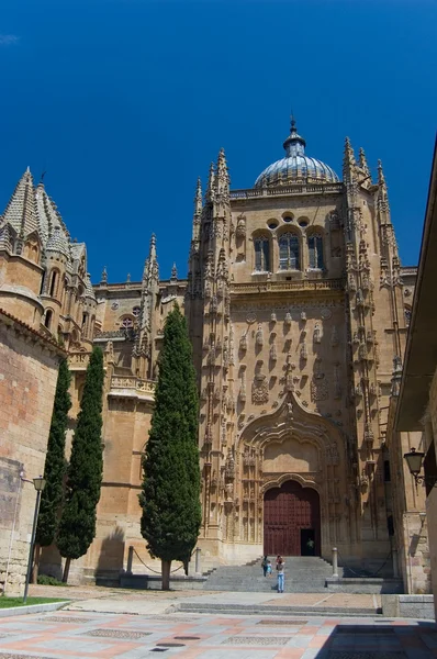Fachada plateresca de la Nueva Catedral. Salamanca, España — Foto de Stock