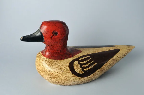 Wood Duck — Stock Photo, Image