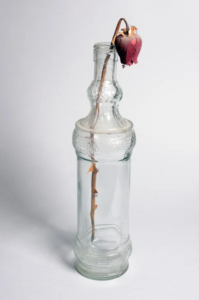 Zvadlých květin láhev. — Stock fotografie