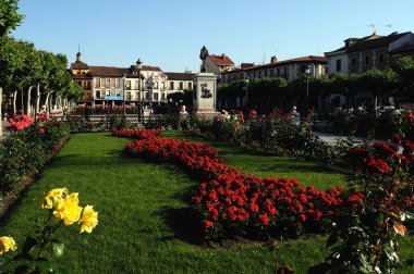 Plaza Cervantes in ALCALA DE HENARES . clipart