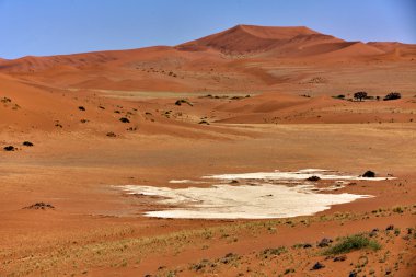 namib naukluft park Namibya Afrika sossusvlei yakınındaki büyük dune