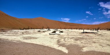 Site of deadvlei in the area of sossuvlei namibia africa clipart