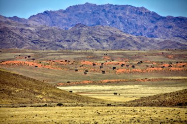 namibrand doğa rezerv namib naukluft ulusal park Namibya af