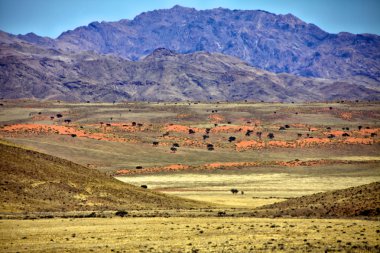 The namibrand nature reserve in the namib naukluft national park namibia af clipart