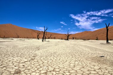 deadvlei sossuvlei Namibya Afrika bölgesinde bir site
