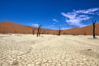 The site of deadvlei in the area of sossuvlei namibia africa clipart