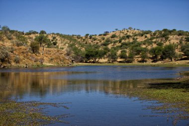 Daan Viljoen oyun parkındaki su birikintisi Namibya Afrika