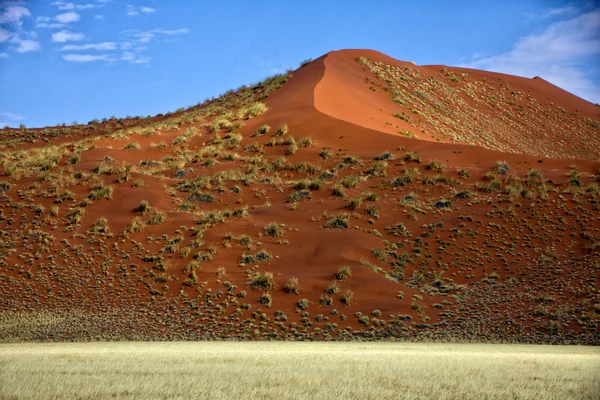 Una gran duna naranja en Sossusvlei Namib Naukluft Park —  Fotos de Stock