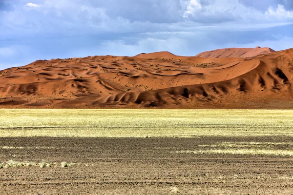 Una grande duna nel parco namib naukluft namibia africa — Foto Stock