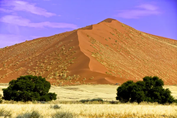 在 sossusvlei 纳米布 naukluft 公园纳米比亚非洲广阔沙丘 — 图库照片