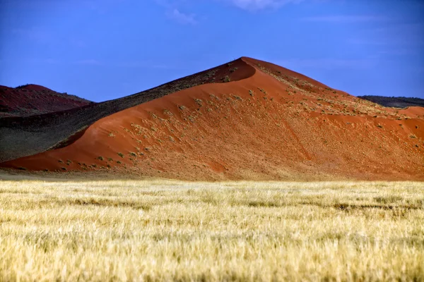 在 sossusvlei 纳米布 naukluft 公园纳米比亚非洲大橙色沙丘 — 图库照片
