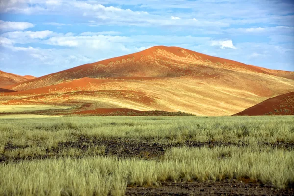 在 sossusvlei 纳米布 naukluft 公园纳米比亚大橙色沙丘 — 图库照片