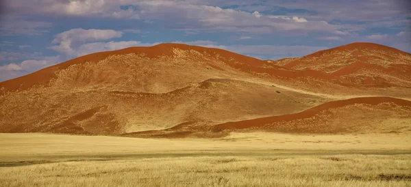 Velké oranžové duny sossusvlei namib naukluft Park — Stock fotografie