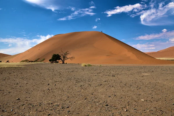 沙丘 45 近 sossusvlei 纳米比亚非洲 — 图库照片