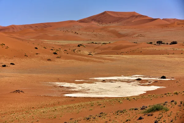 Duże wydmy w namib naukluft park namibia Afryka w pobliżu susza — Zdjęcie stockowe
