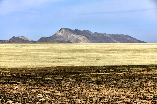 Montagnes dans le désert namib naukluft namibia africa — Photo